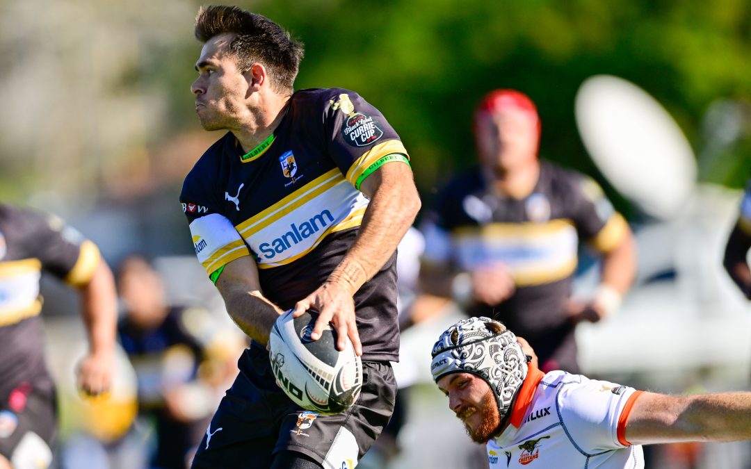 Tedder feels right at home in Wellington